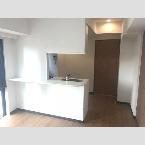 S-RESIDENCE日本橋浜町1202号室 洗面