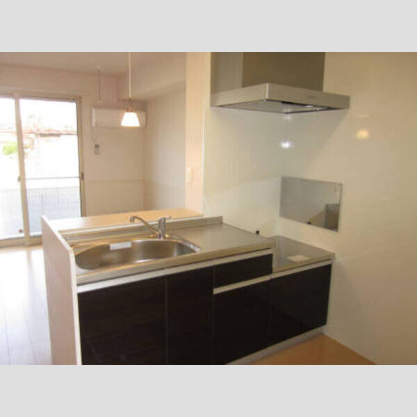 ルミエール瑞穂　壱番館102号室 キッチン102