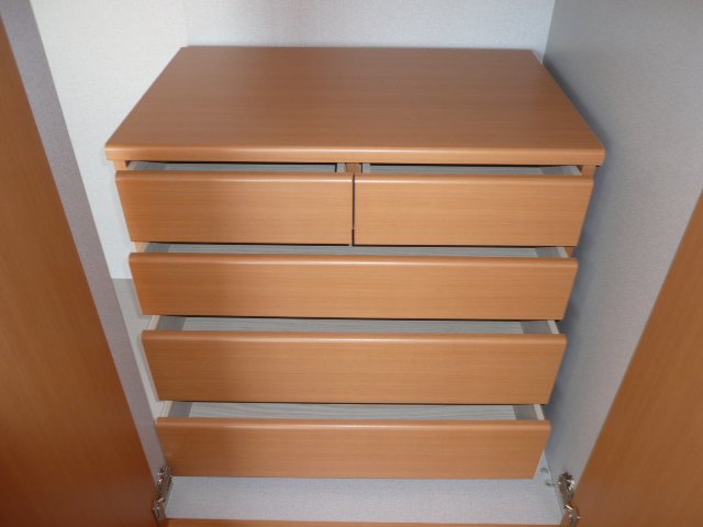 ヴィアーレ・ガーナ403号室 収納