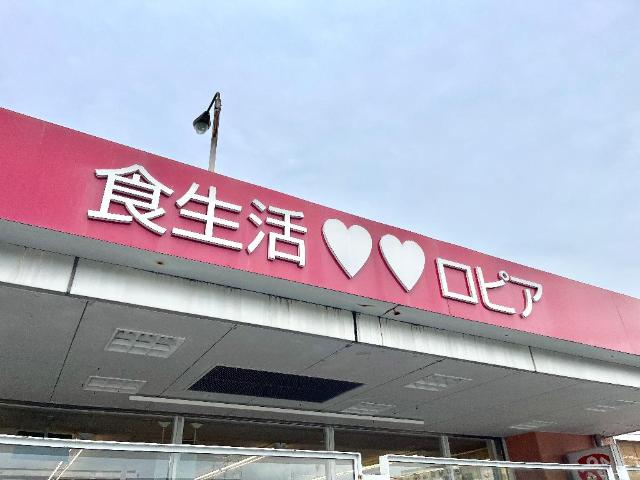 クレサンテーム ロピア渋沢店まで544ｍ