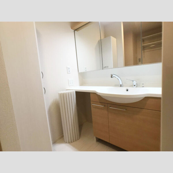 ロイジェントパークス レイクタウン Ⅱ　G203号室 洗髪洗面化粧台