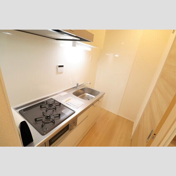 クレール藤沢Ⅲ105号室 3.3帖のシステムキッチン