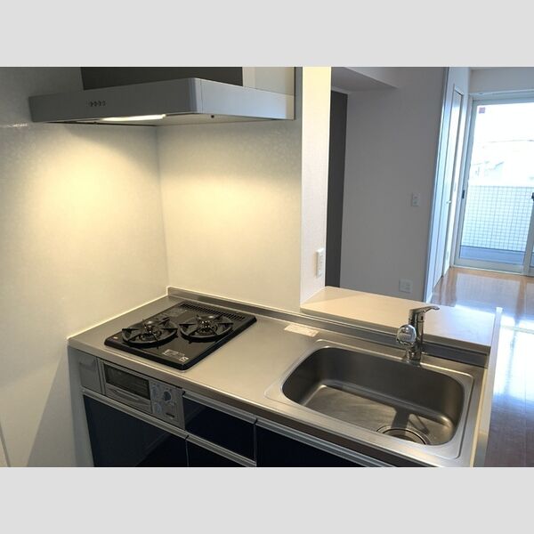 ヘリオス吉川美南　ウラノス206号室 システムキッチン