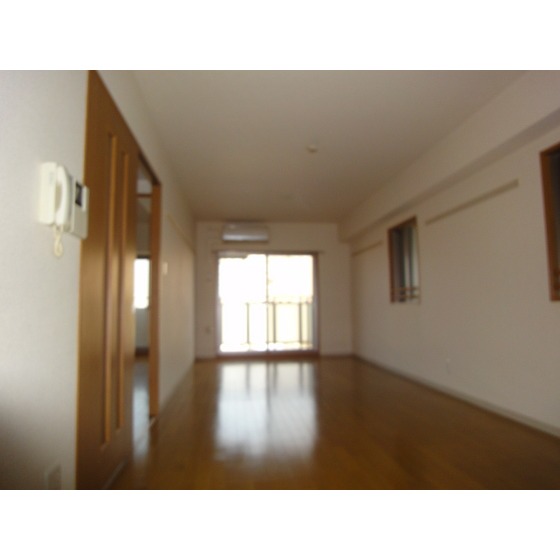 シャンテメゾン田仲0802号室 リビング