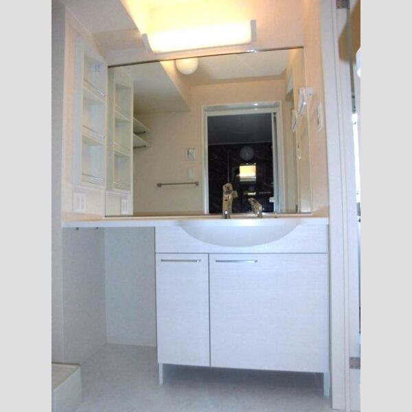 ラ・ピーノ　5101号室 洗髪洗面化粧台カウンタータイプ