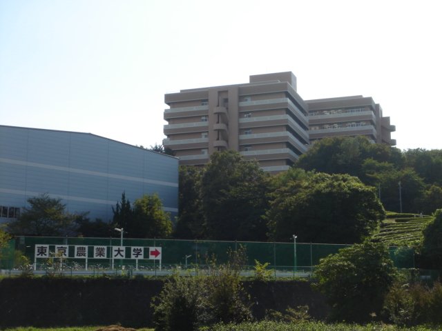 ビレッジ高坪 私立東京農業大学厚木キャンパスまで1,753ｍ