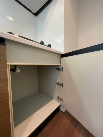 DIPS上北沢 North Villa502号室 収納