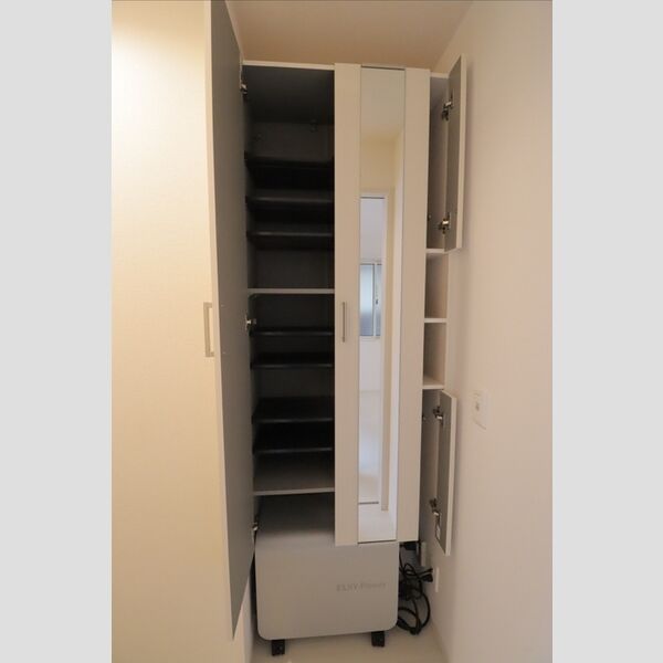 Apollo シューズBOX