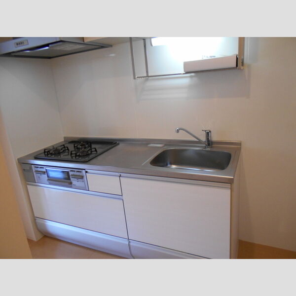 アプリコットガーデン　C システムキッチン