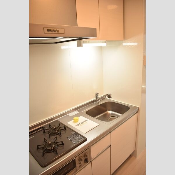 My Coronet　A202号室 システムキッチン