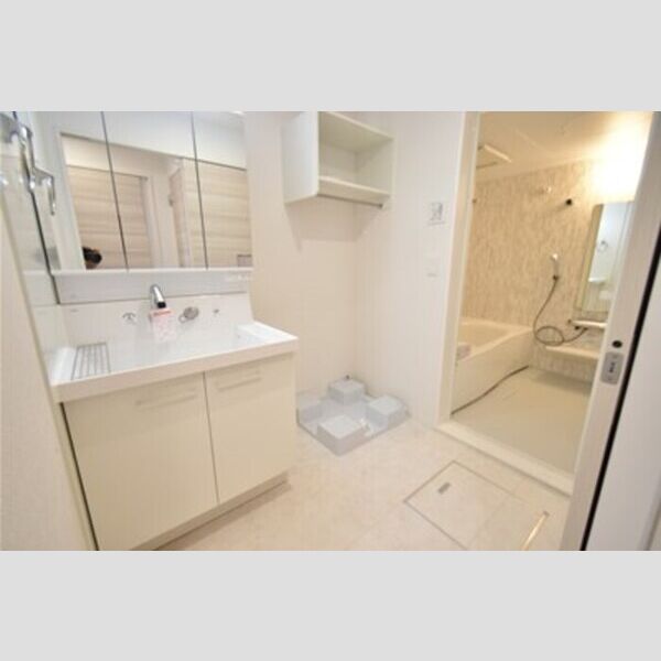 ホワイト キャッスル202号室 洗面室