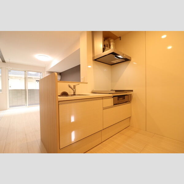 エーデル カーサ203号室 キッチン