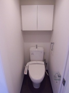 グラントゥルース西日暮里603号室 トイレ