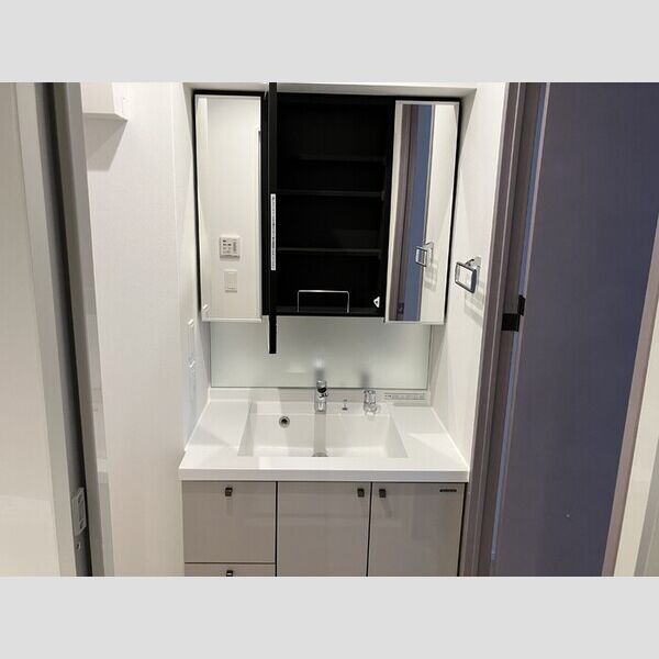 THE RejuvePort KISARAZU0508号室 洗髪洗面化粧台