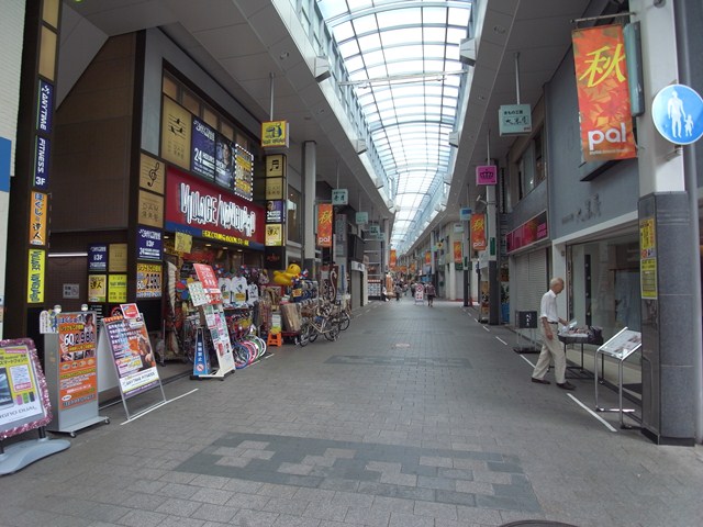 菱和パレス高円寺 【その他】高円寺パル商店街まで1022ｍ