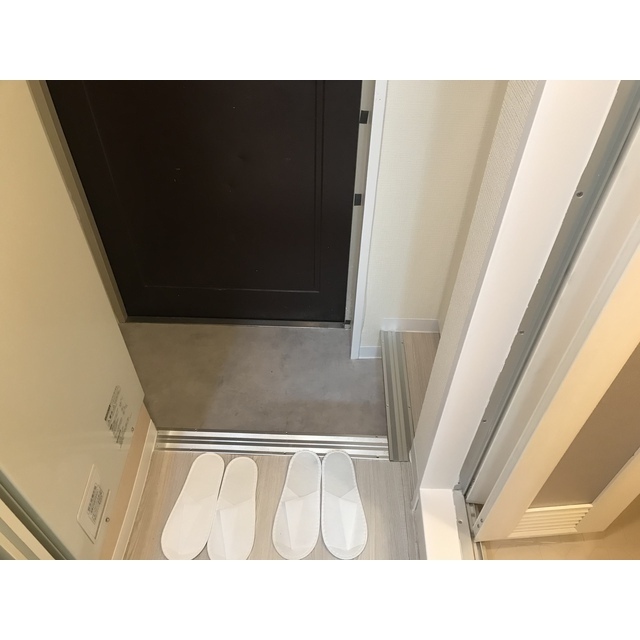 ドリームスペースマンション 玄関