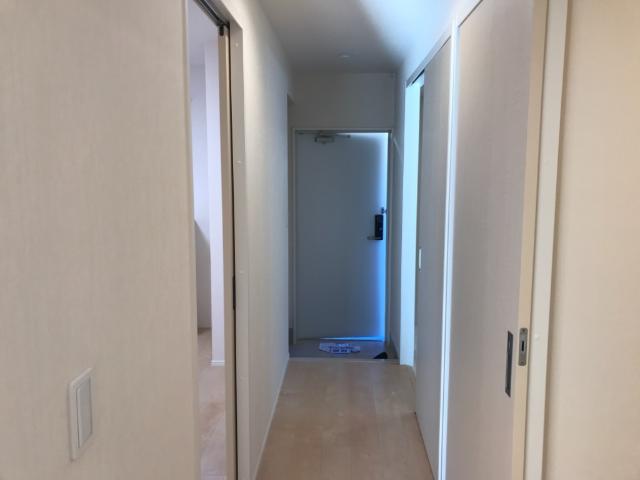 ｇｒｅｅｎ ｍａｉｓｏｎ(グリーンメゾン)105号室 廊下