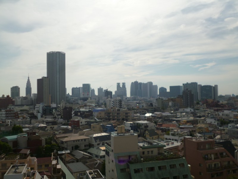 河田町ガーデン１号棟8階 部屋その他