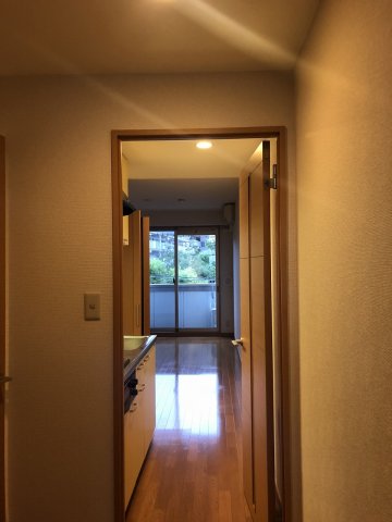 第３メゾンドヨシノ5階 同建物別部屋の参考画像