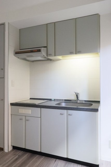 ロイヤルアーバン駒場東大 キッチン