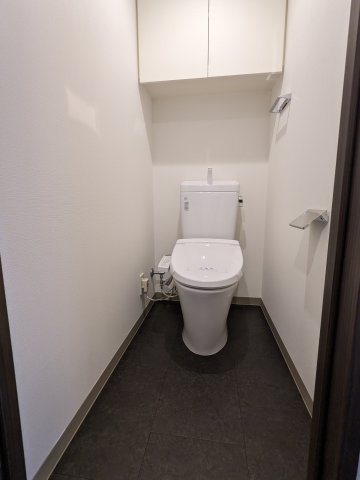 ケーディーエックスレジデンス豊洲617号室 トイレ