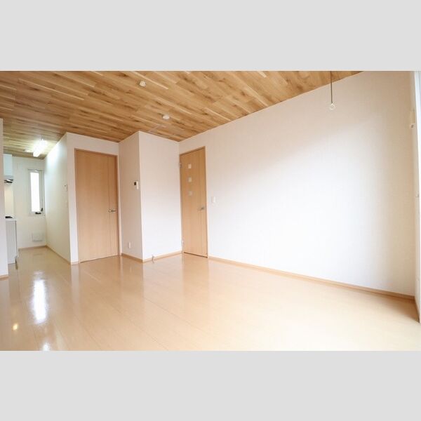 メゾン・ド・シャテーヌ203号室 LDK