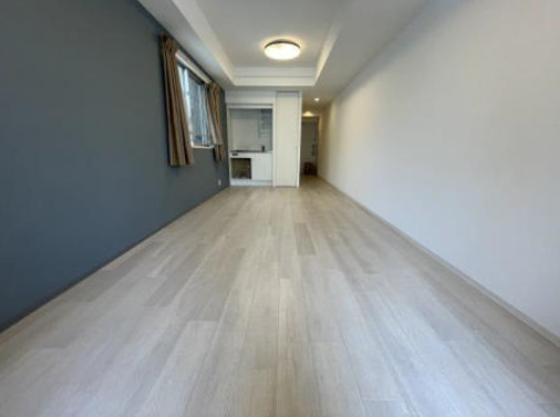 ジオーブルミナス704号室 リビング