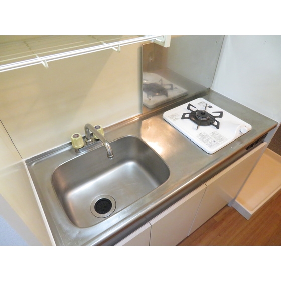 カーサグリスメイユー0204号室 キッチン