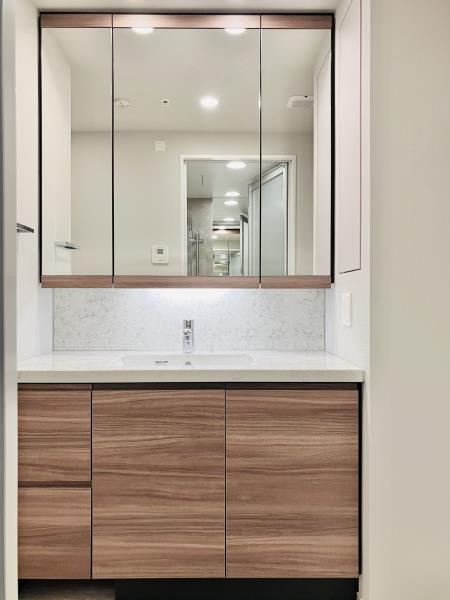 プラウドタワー東池袋ステーションアリーナ32階 洗面