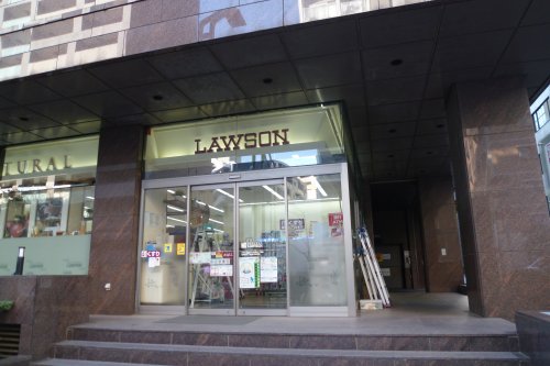 Log銀座東／ログ銀座東504号室 【コンビニエンスストア】ナチュラルローソン 新川二丁目店まで856ｍ