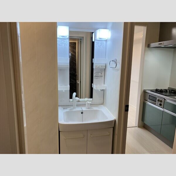 ルーヴル 洗髪洗面化粧台