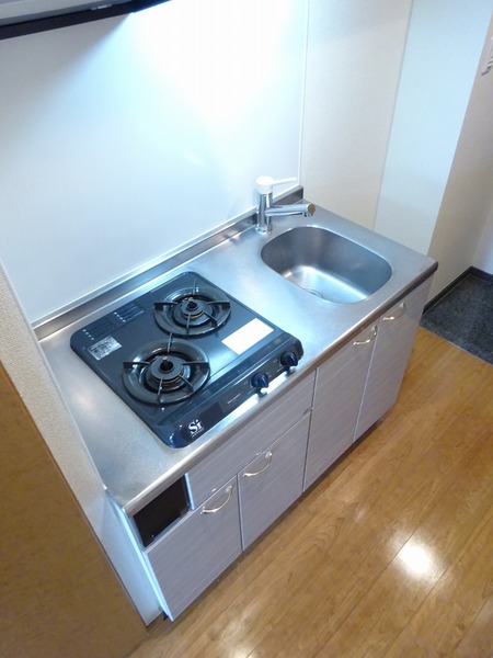 ルーブル溝の口501号室 キッチン