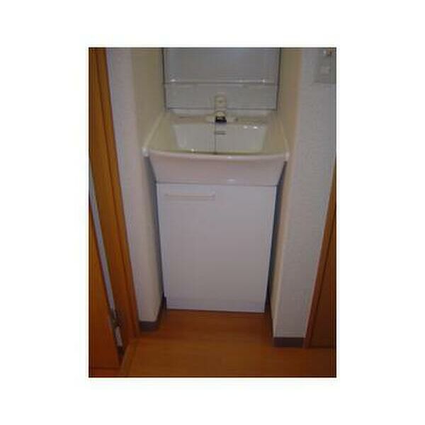 メゾン南多摩108号室 洗面