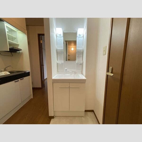 ガーデンプラザ　弐番館105号室 弐番館105号室洗髪洗面化粧台