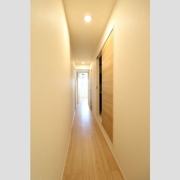 アベニール大倉山302号室 室内廊下