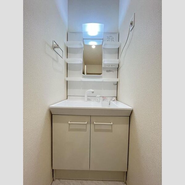 リーブルファイン川口上青木西102号室 洗面