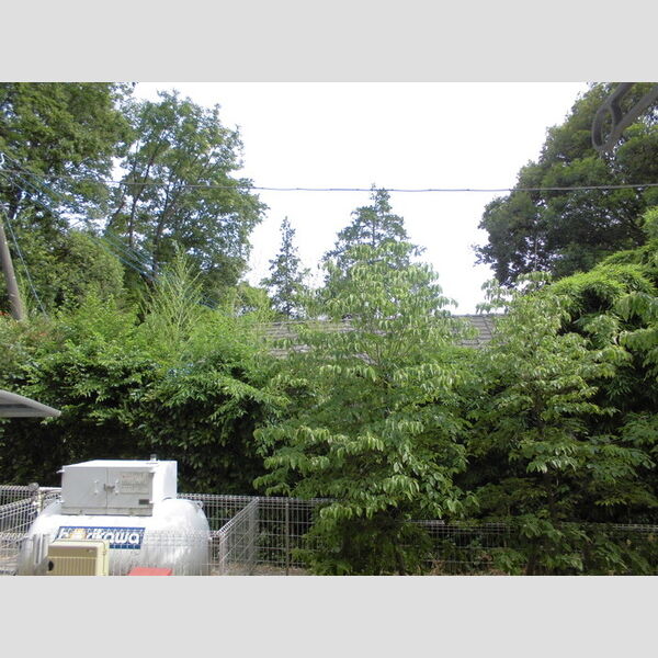 ピアニィ・レイディクス 眺望