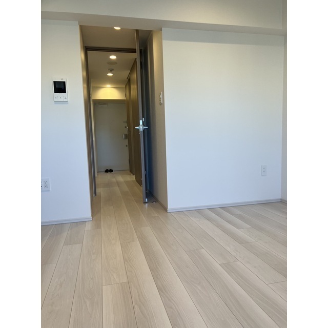 ACP Residence 亀戸1002号室 部屋その他