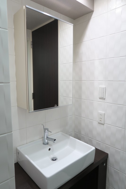 ハイリーフ上野11階 洗面