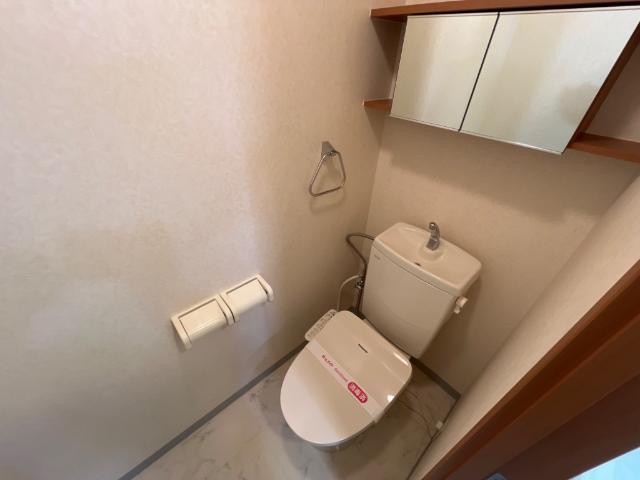 ヴェルデカーサ神明 シャワー付トイレ（イメージ）