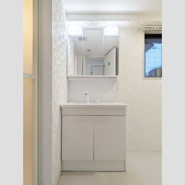 ヴィラ東川口103号室 洗面所