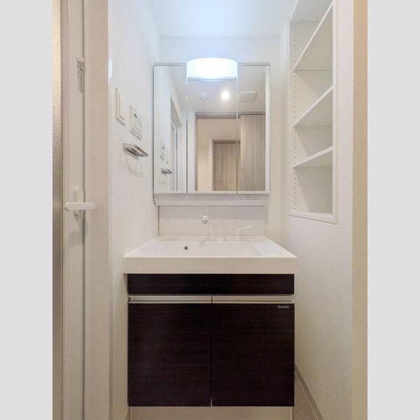 S-RESIDENCE東浦和agua108号室 洗面