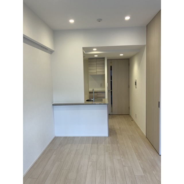 ザ・パークワンズ日本橋人形町 2026年3月撮影　LDK約9.7帖