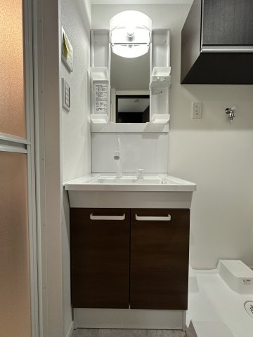 ベイルーム藤沢六会105号室 洗面