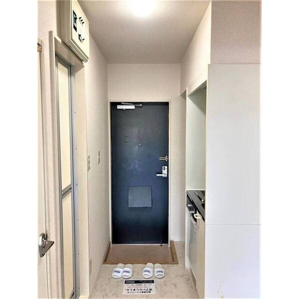 キュービック湘南　壱番館0302号室 玄関