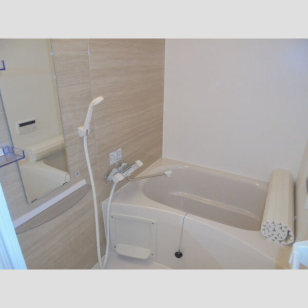 ウェルデンスD-stay　B312号室 浴室