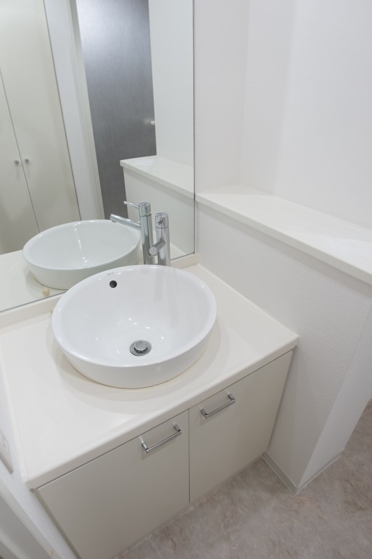 レニール本駒込6階 洗面