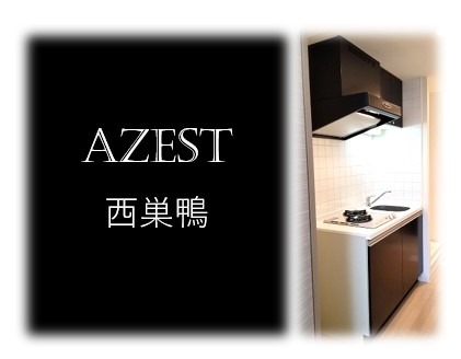 AZEST西巣鴨4階 部屋その他