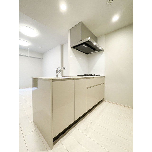 ACP Residence 新江古田0102号室 キッチン