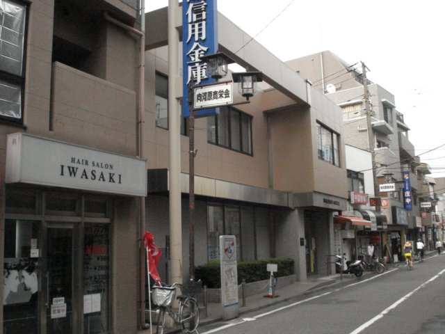 アヴニール武蔵小杉 川崎信用金庫向河原支店まで100ｍ